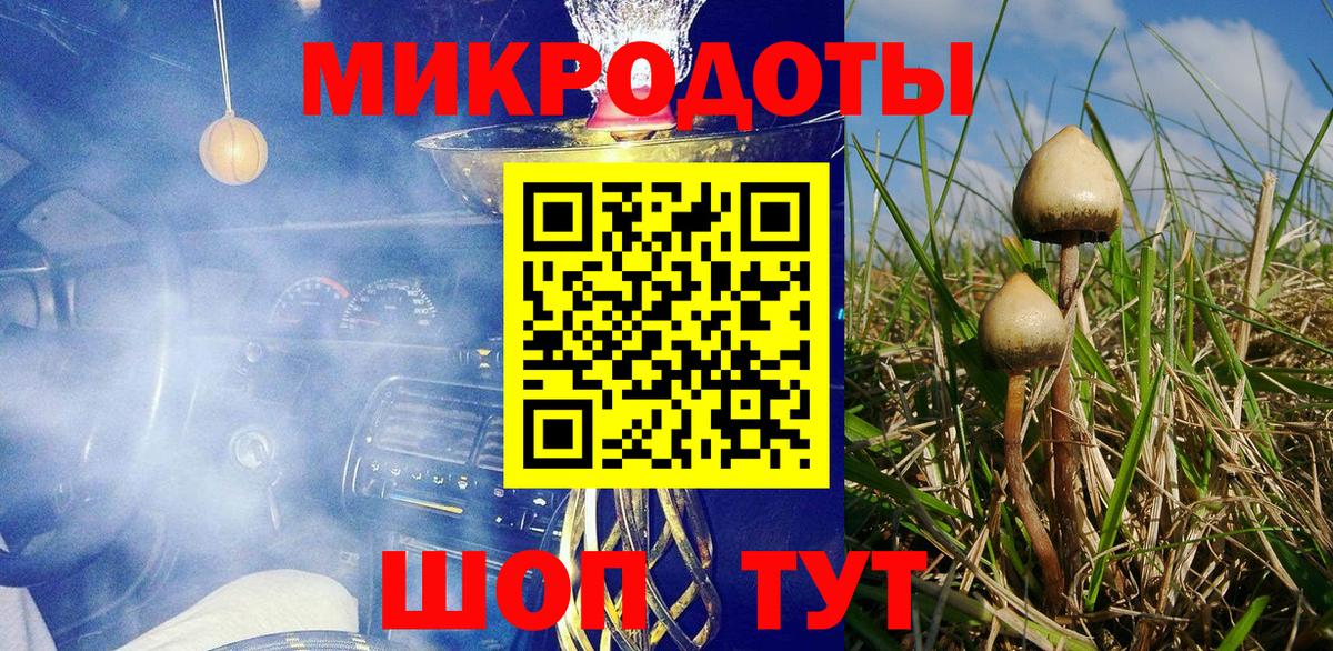 Псилоцибиновые грибы GOLDEN TEACHER Острогожск